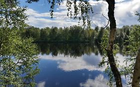Hallahaukka