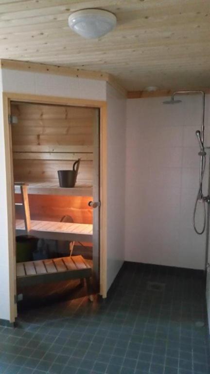 Hallahaukka Ivalo Extérieur photo
